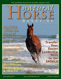 Natural Horse Magazine, by Ginger Krantz, Finding Balance With Flying Bugs