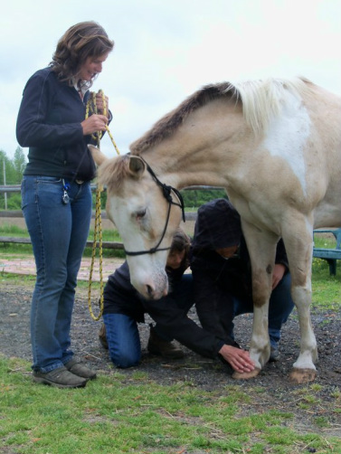 Ginger Krantz helping an equine healing student to feel Hearty's hoof more deeply.